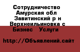 Сотрудничество - Амурская обл., Завитинский р-н, Верхнеильиновка с. Бизнес » Услуги   